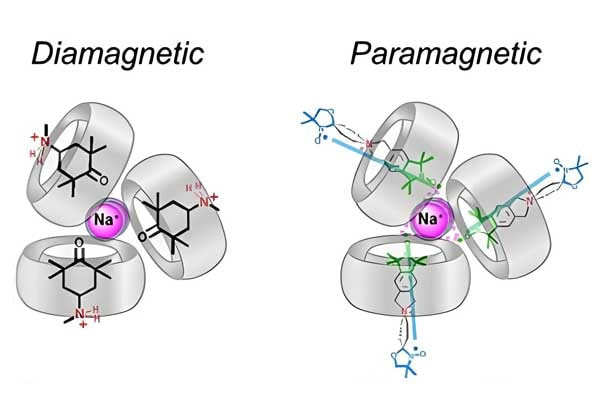 3. paramagnetic is stronger-min.webp