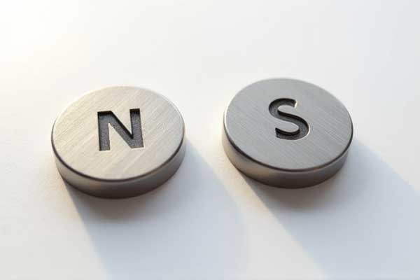 3. north pole and south pole.webp