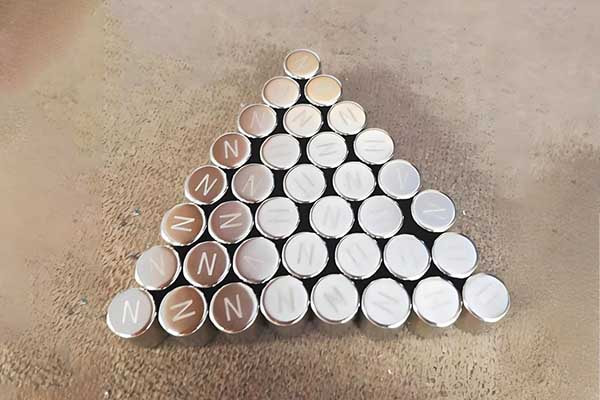 4. north pole and south pole.webp