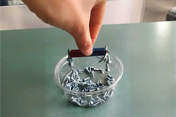 5. bipolar of magnets.webp