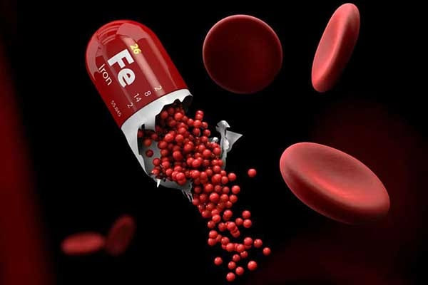 2. Fe ion magnets in human body.webp